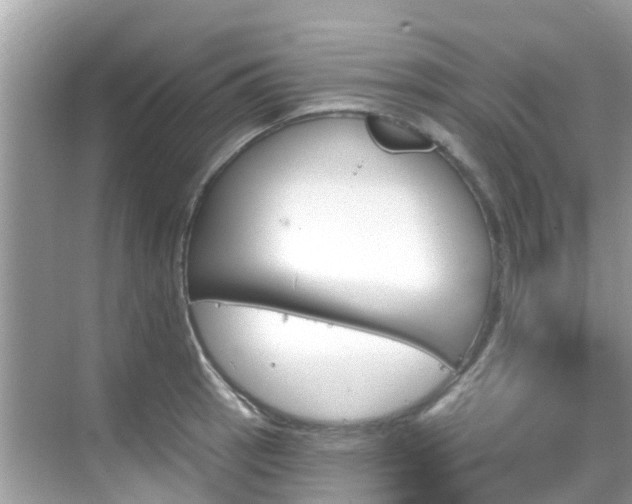 X0000068821137200605081138