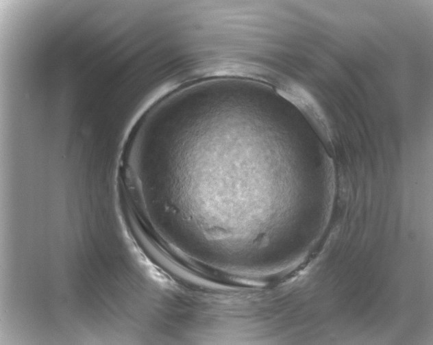 X0000068821138200605081138