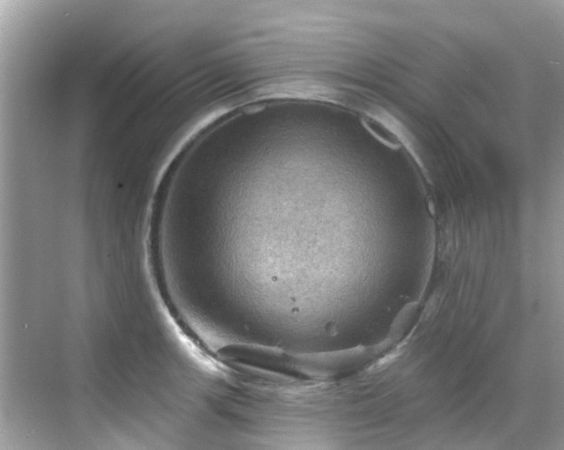 X0000068821139200605081138