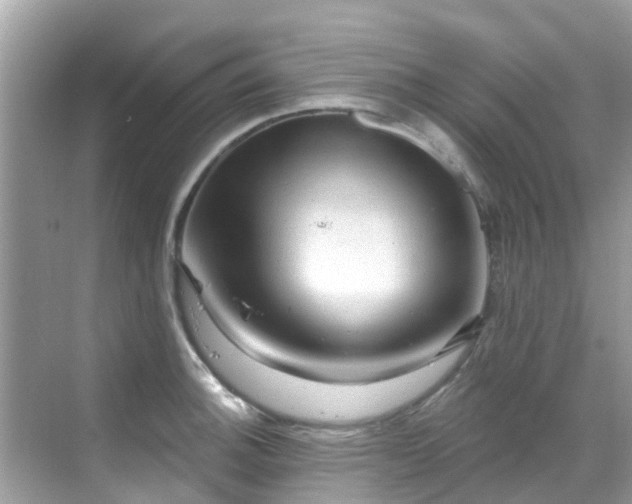 X0000068821140200605081138