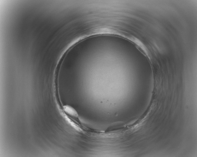 X0000068821142200605081138