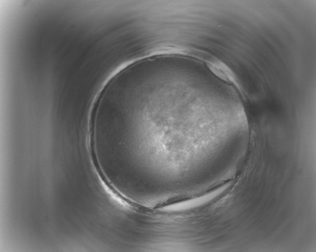 X0000068821143200605081139