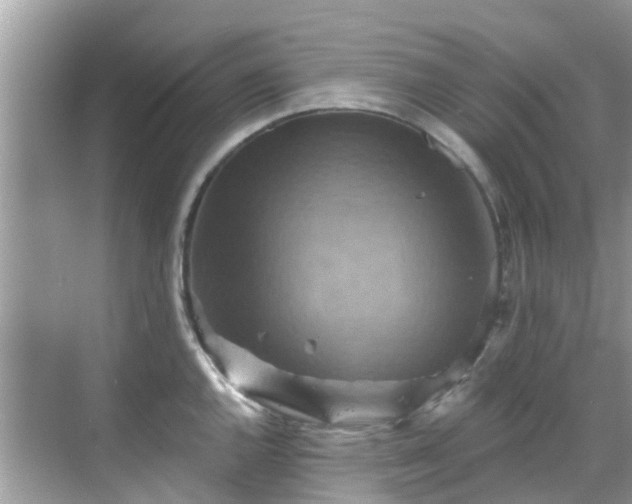 X0000068821144200605081139