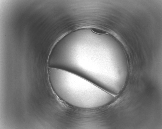 X0000068821145200605081139