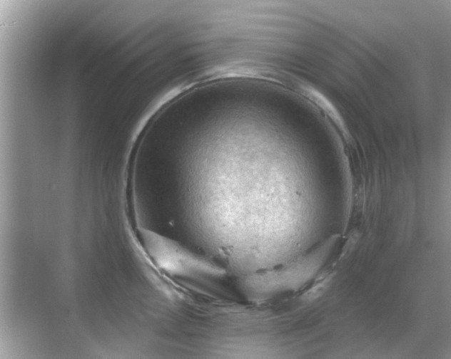 X0000068821146200605081139