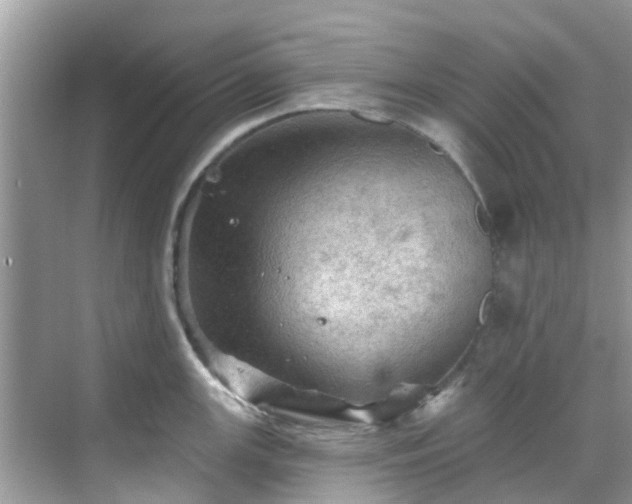 X0000068821147200605081139