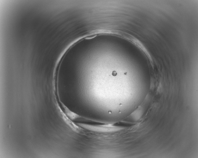 X0000068821148200605081139