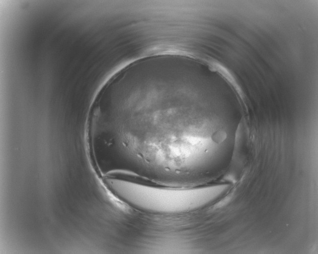 X0000068821149200605081139