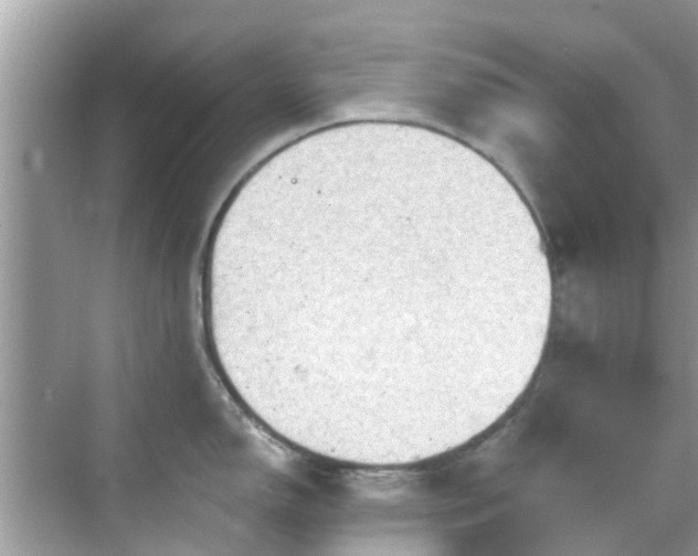 X0000068821150200605081139