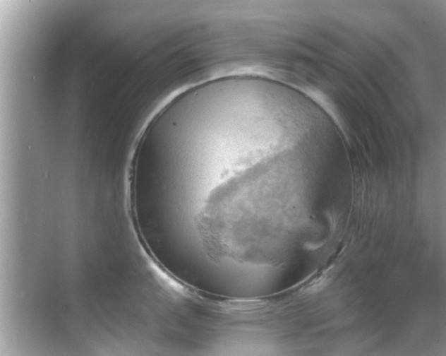 X0000068821151200605081139