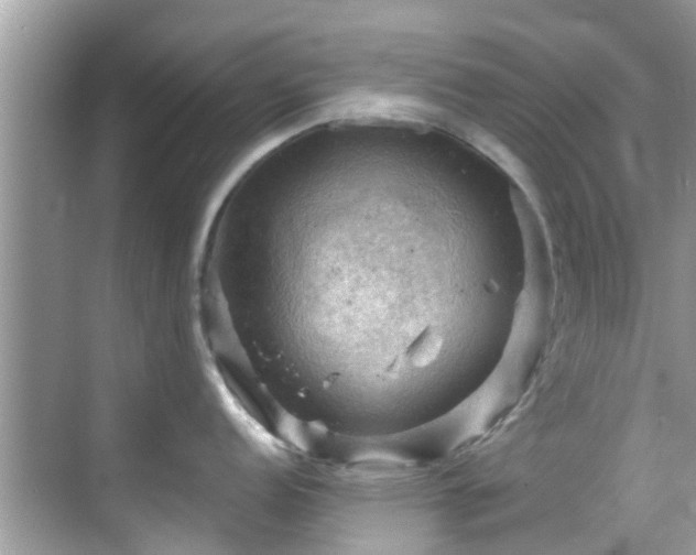 X0000068821152200605081139