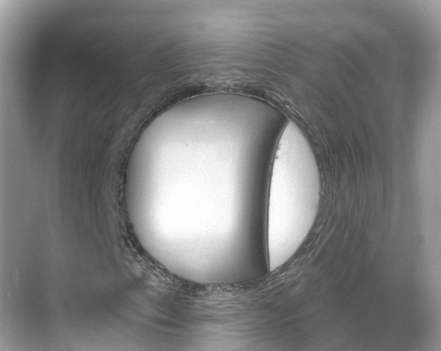 X0000068821153200605081138