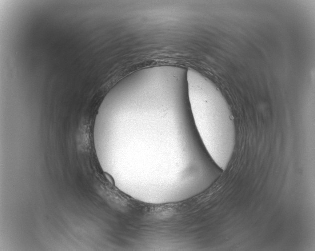 X0000068821154200605081138