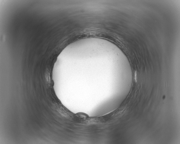 X0000068821155200605081138