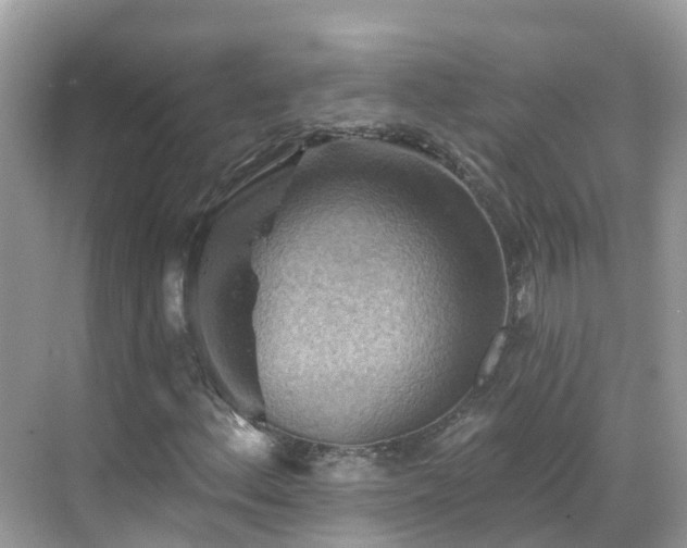 X0000068821156200605081138