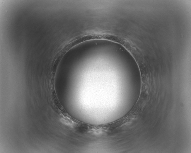 X0000068821157200605081138