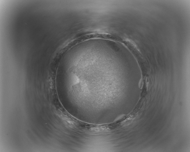 X0000068821159200605081138