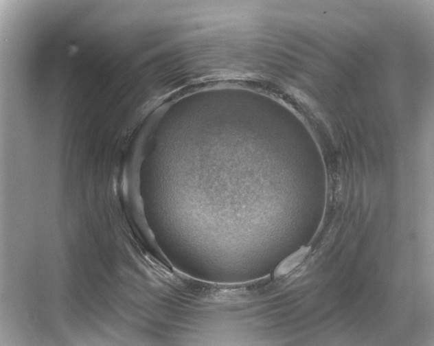 X0000068821161200605081138