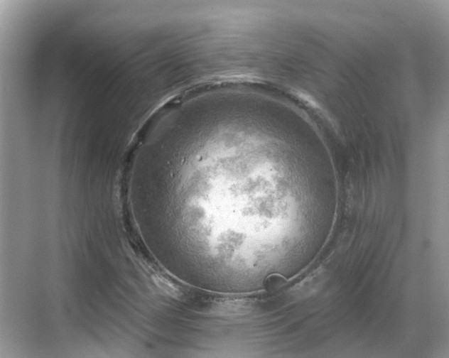 X0000068821162200605081138