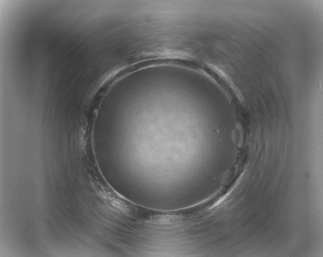 X0000068821163200605081138