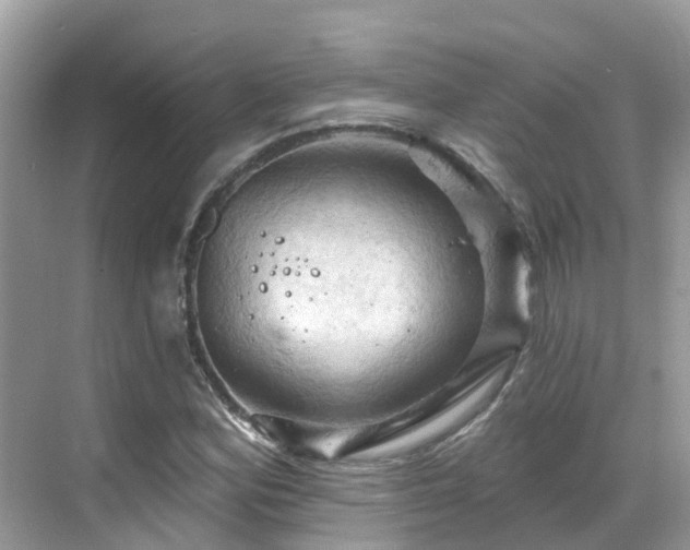 X0000068821164200605081138