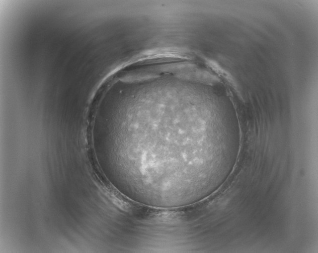 X0000068821166200605081138