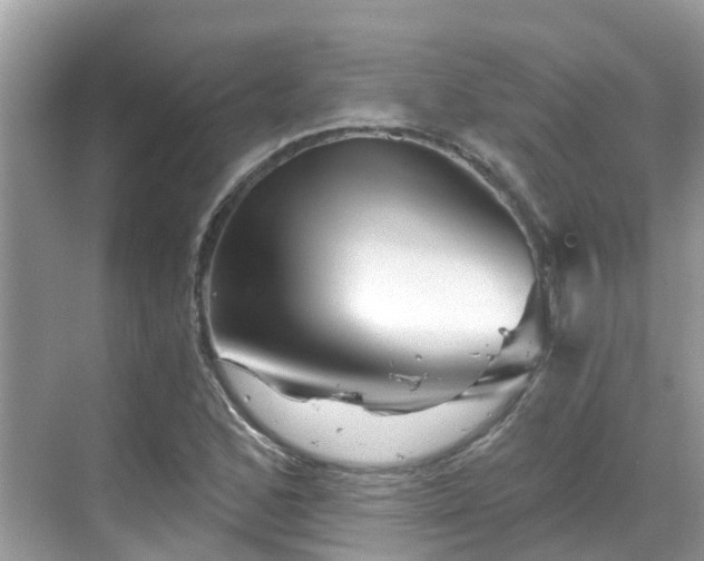 X0000068821168200605081138