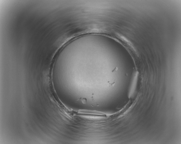 X0000068821170200605081138