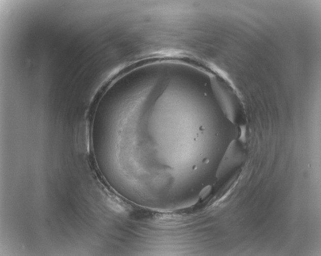 X0000068821171200605081138