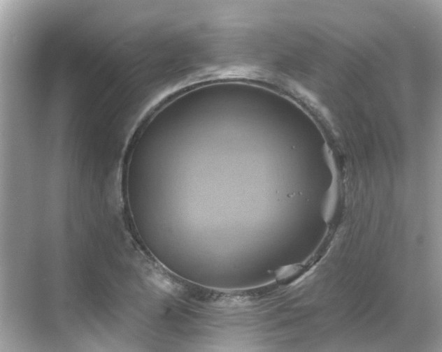 X0000068821174200605081137