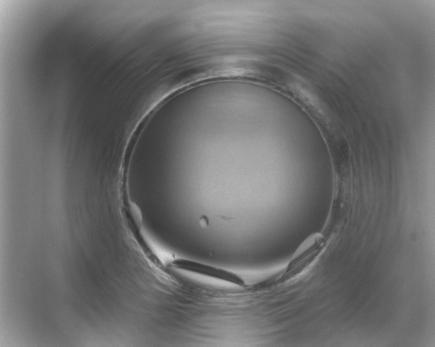 X0000068821178200605081137