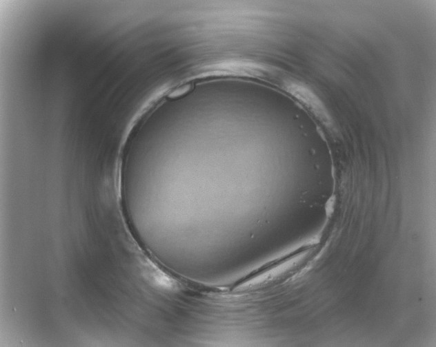 X0000068821180200605081137