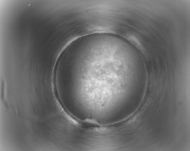 X0000068821182200605081137