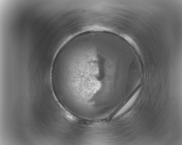 X0000068821183200605081137