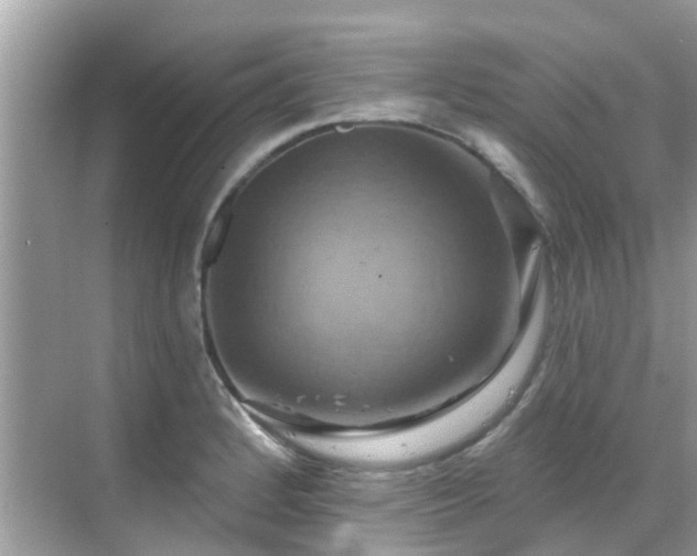 X0000068821184200605081137