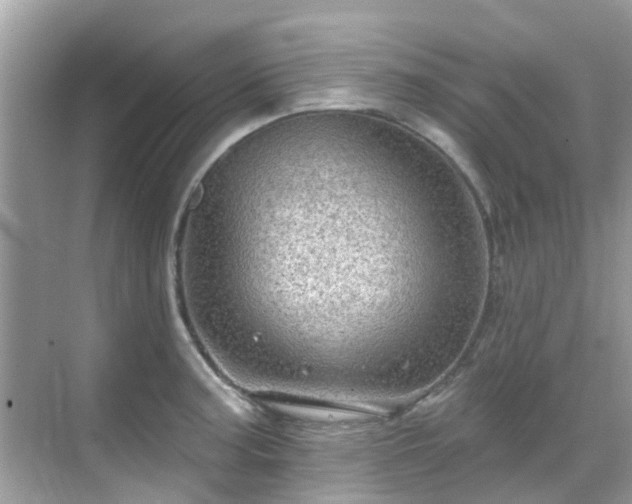 X0000068821187200605081137