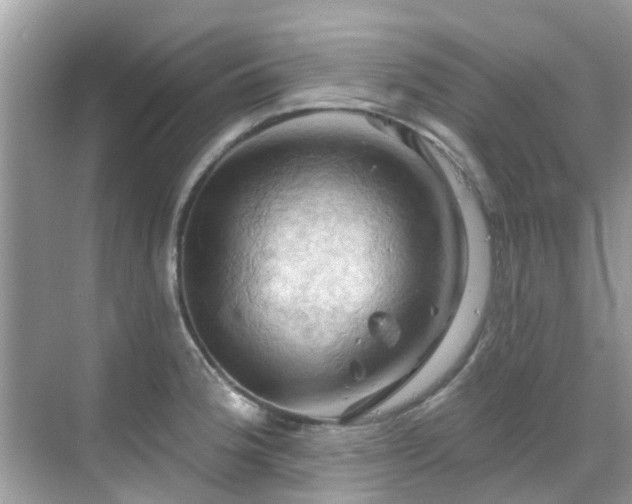 X0000068821188200605081137