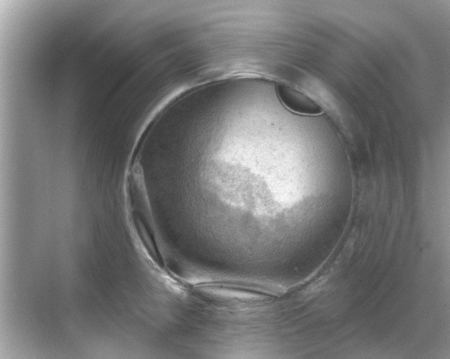 X0000068821190200605081137