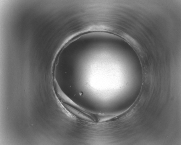 X0000068821192200605081137