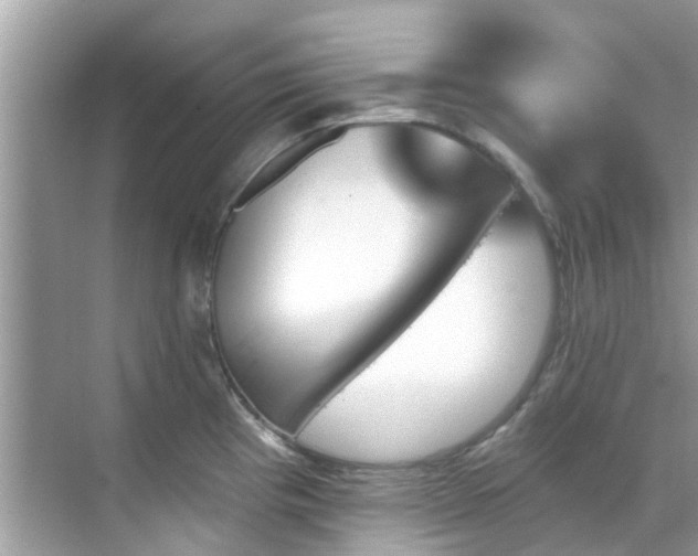 X0000068821193200605081137