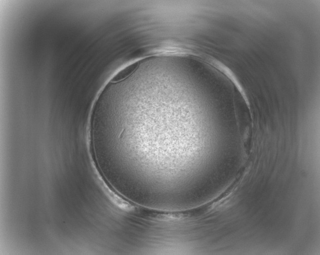 X0000068821195200605081137