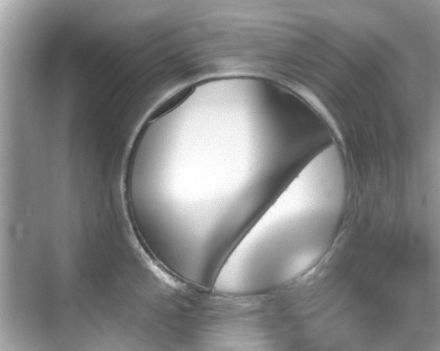 X0000068821197200605081137