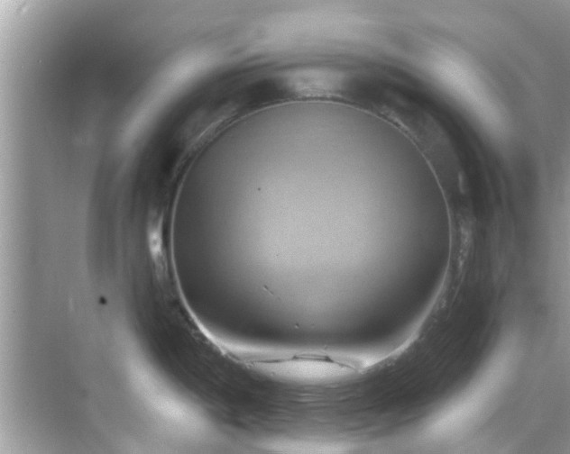 X0000068821198200605081137