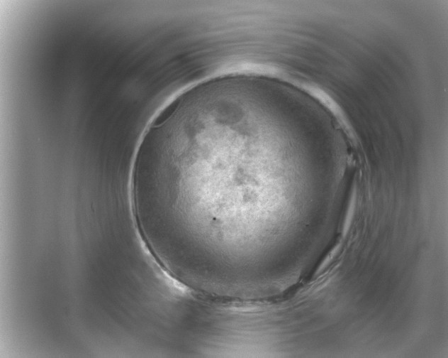 X0000068821199200605081137