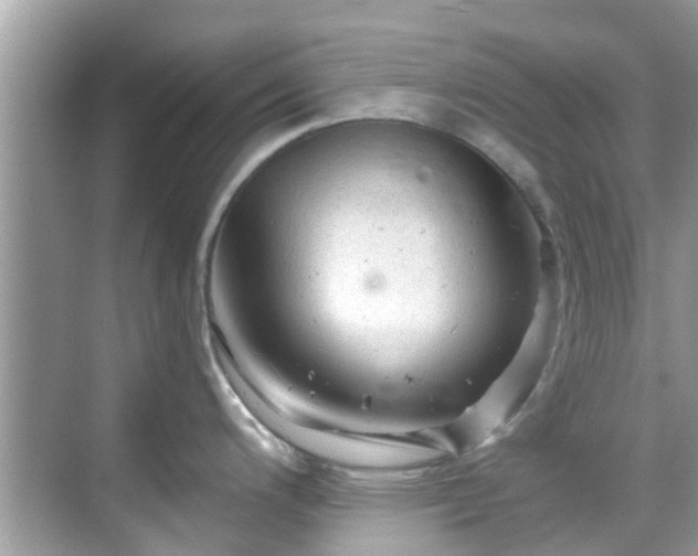 X0000068821200200605081137