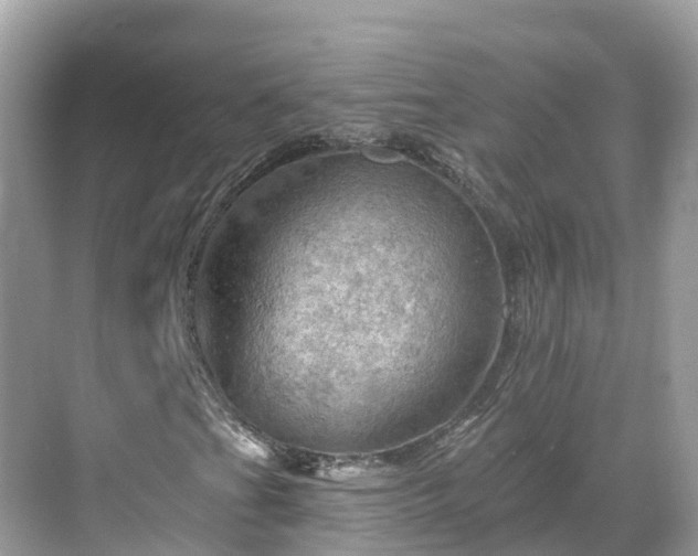 X0000068821201200605081136