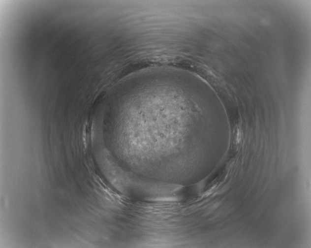 X0000068821202200605081136