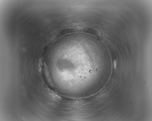 X0000068821203200605081136