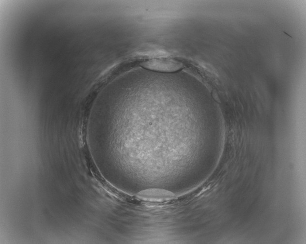 X0000068821205200605081136