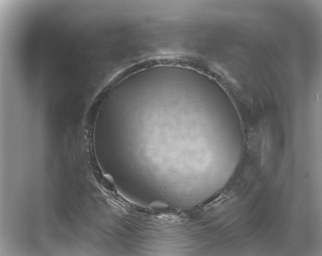 X0000068821208200605081136